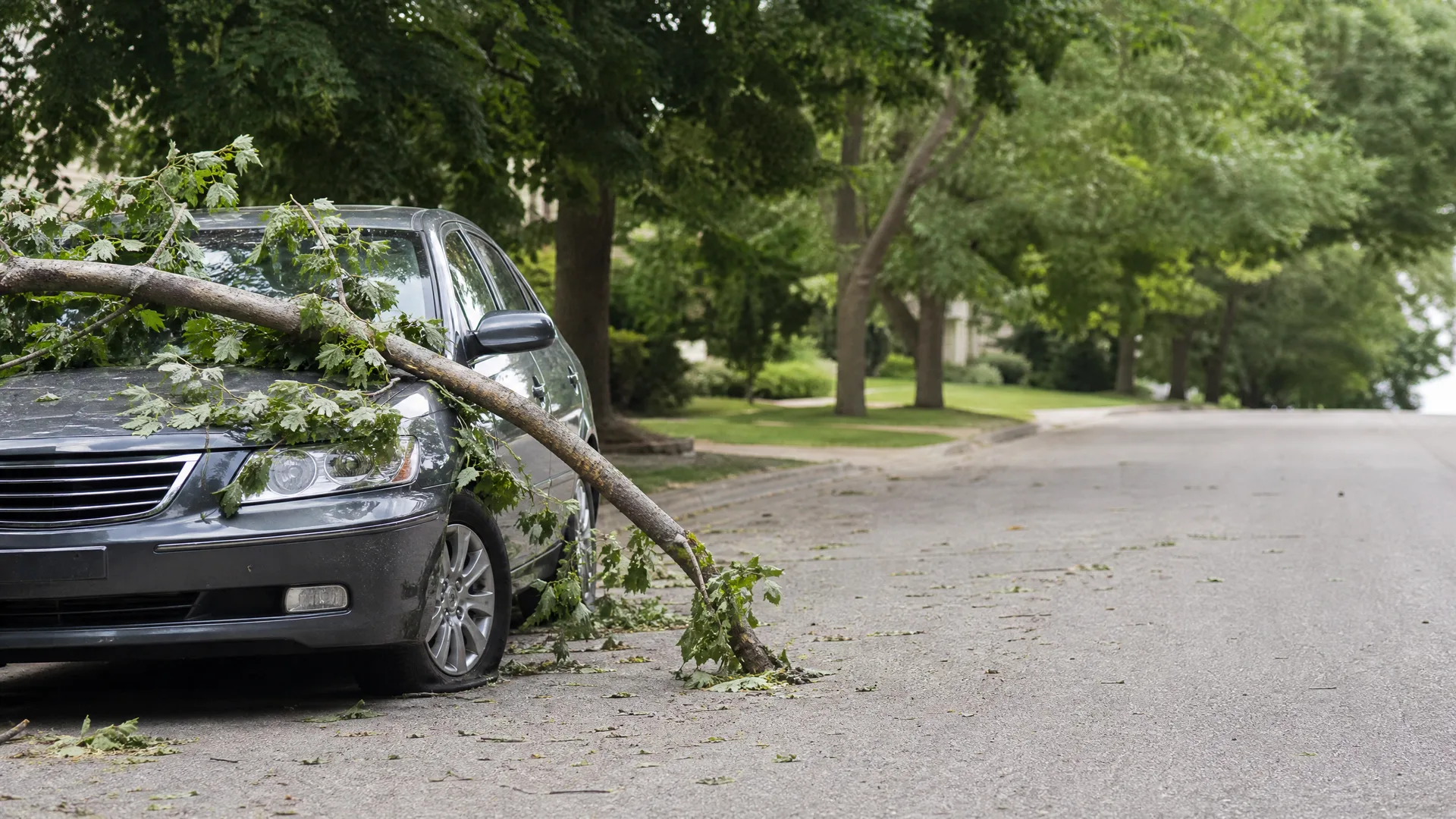 A large fallen tree limb with green leaves rests across the hood and windshield of a dark gray sedan parked along a residential street, with scattered branches on the pavement.