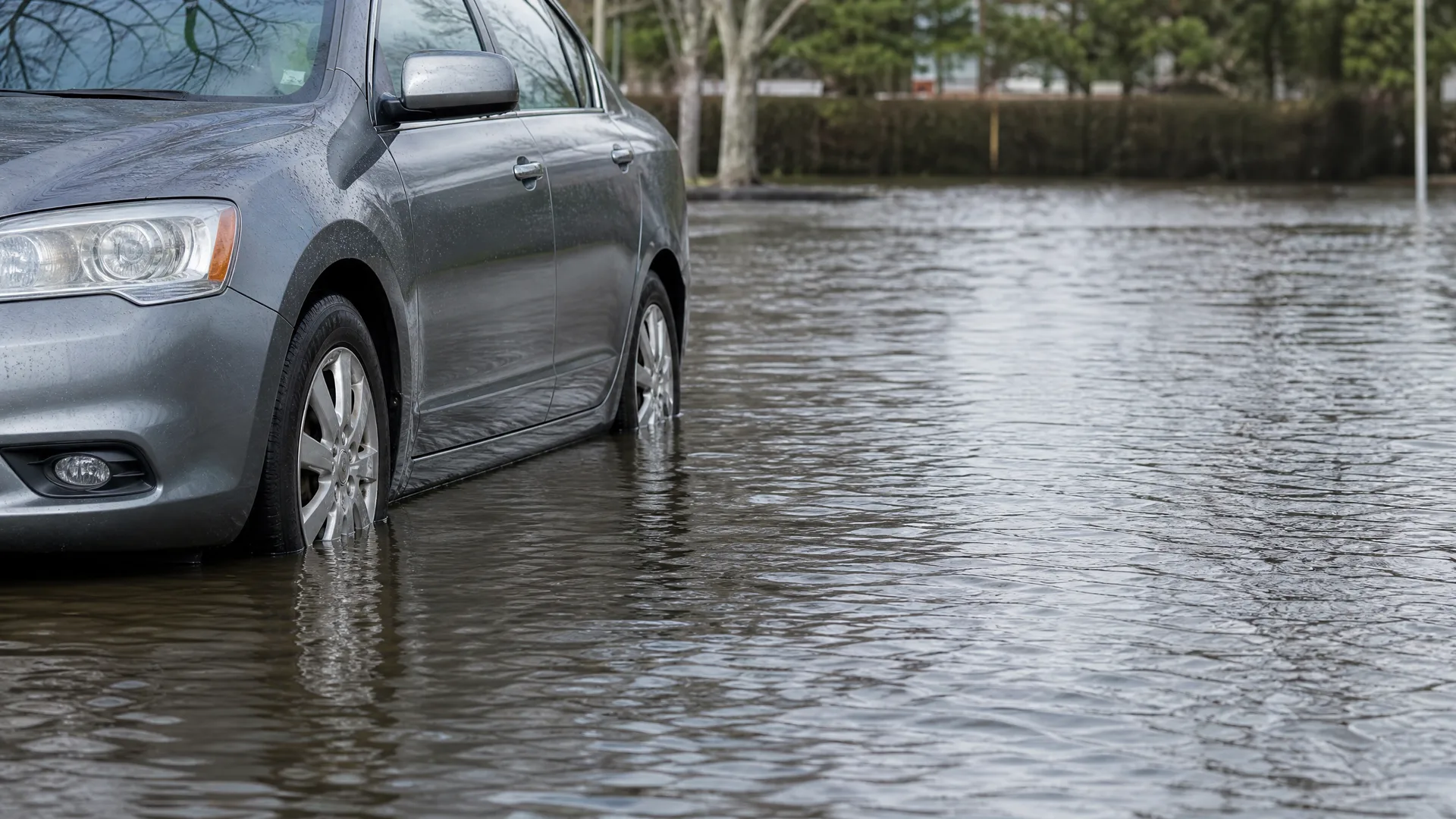 A gray sedan parked in floodwater that reaches above its wheel rims, with bare trees and a hedge in the background.