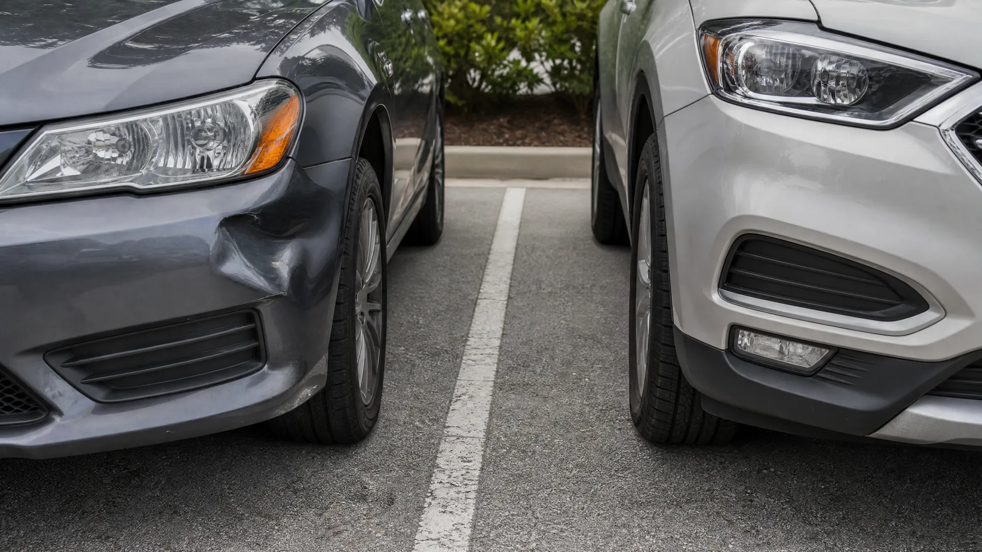 Front ends of a gray car with a dented bumper and a white car parked on either side of a white line in an asphalt parking lot, with green shrubs and a curb behind them.