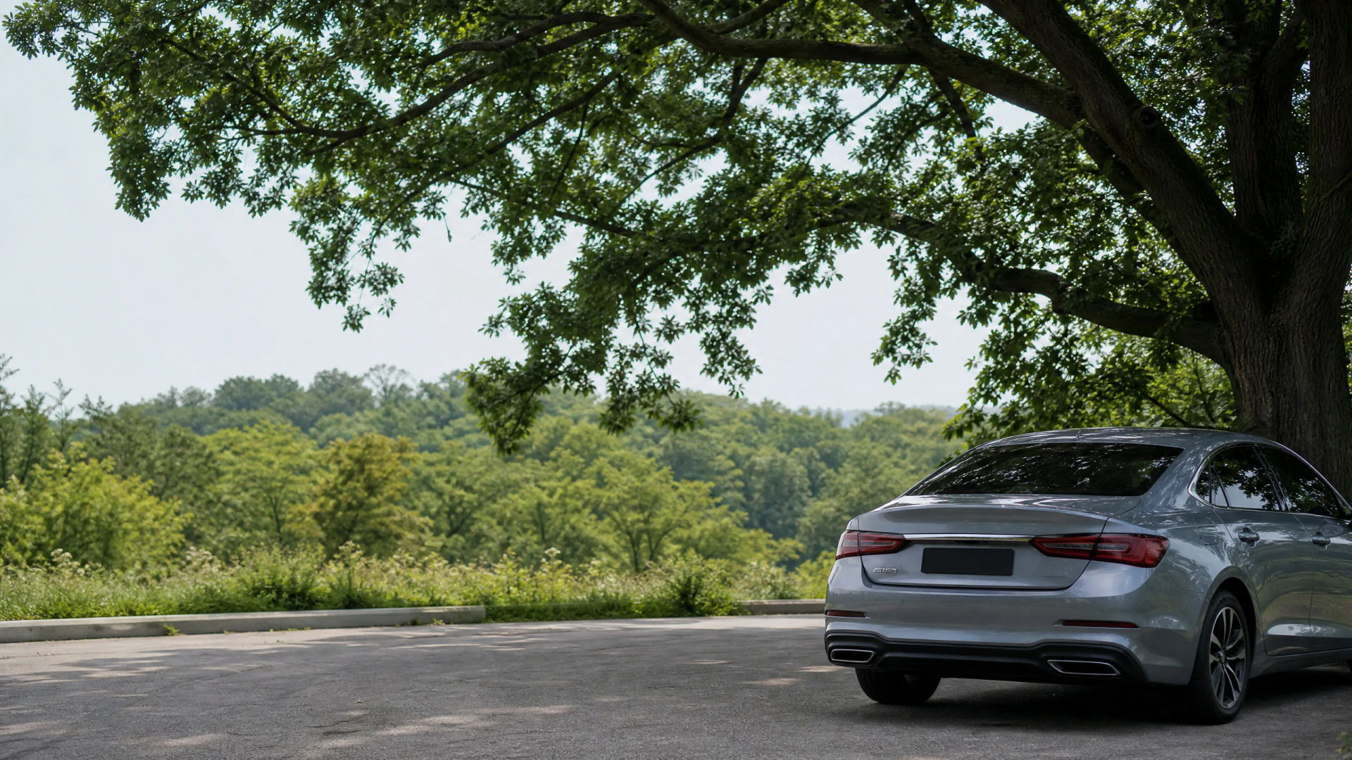 Rear view of a silver four-door sedan parked in the shade of a large tree, with a wooded hillside visible in the background.