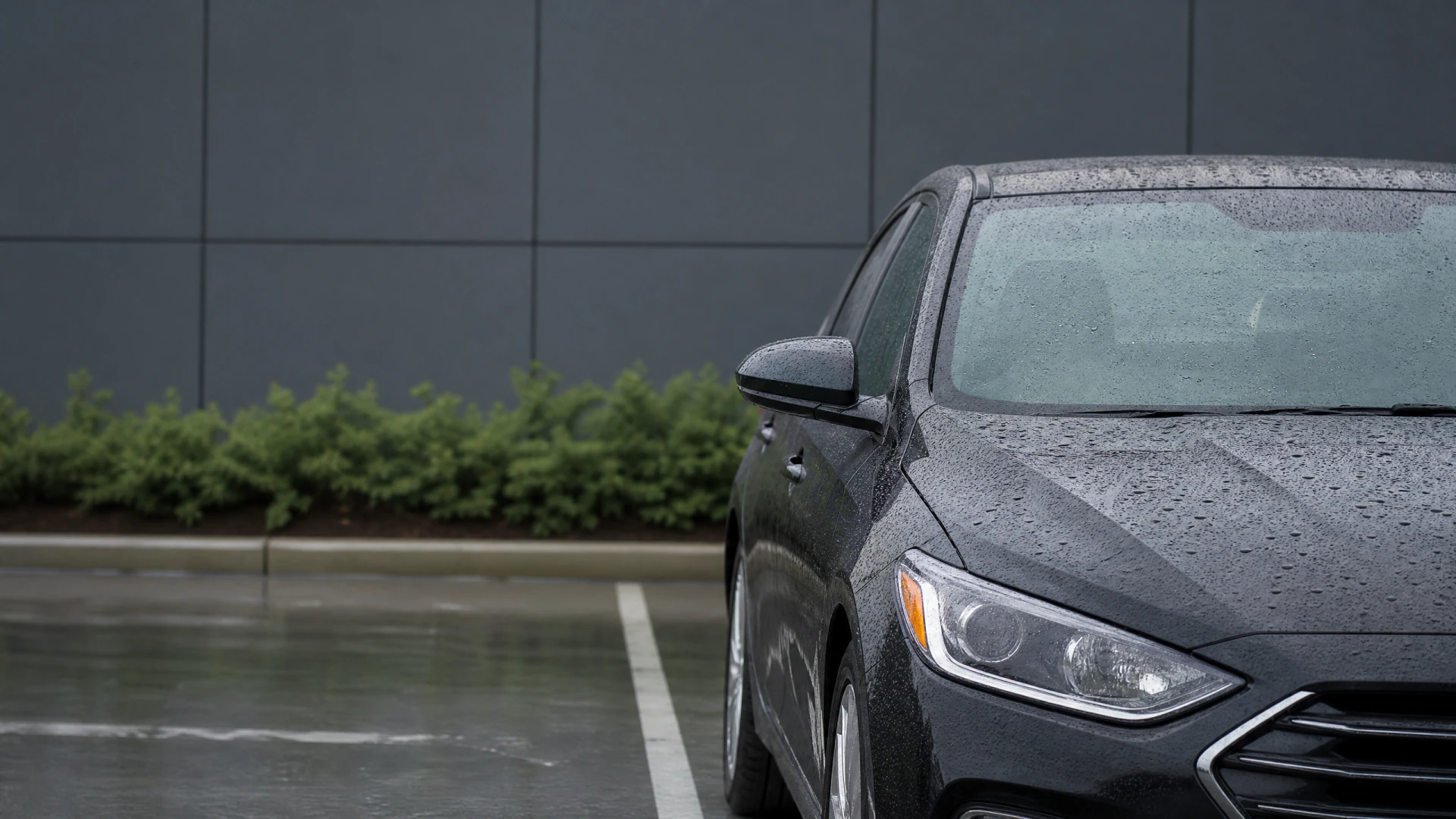 The front half of a rain-wet dark gray sedan parked in a marked parking space, with trimmed green shrubs and a gray building wall in the background.