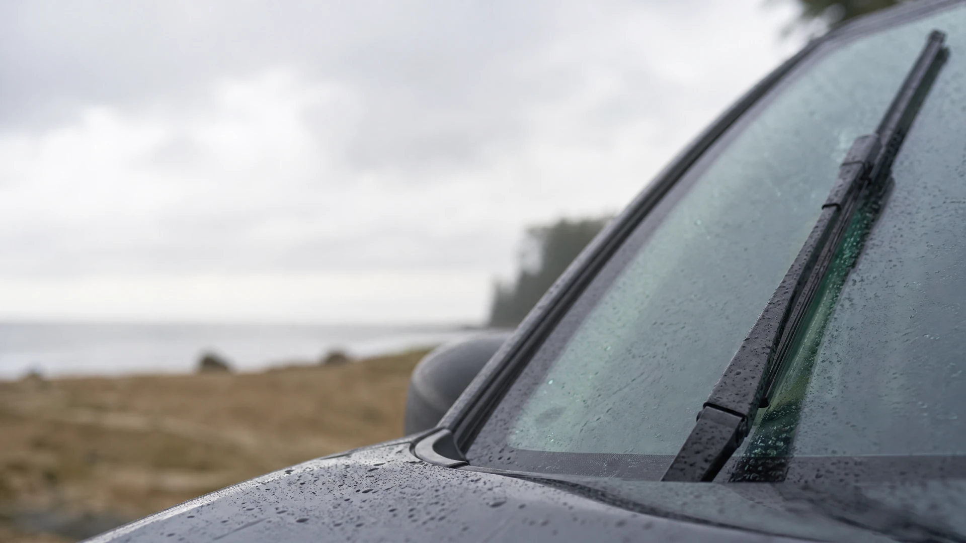 A rain-covered car windshield with a beam-style wiper blade, parked near a shoreline under cloudy skies.
