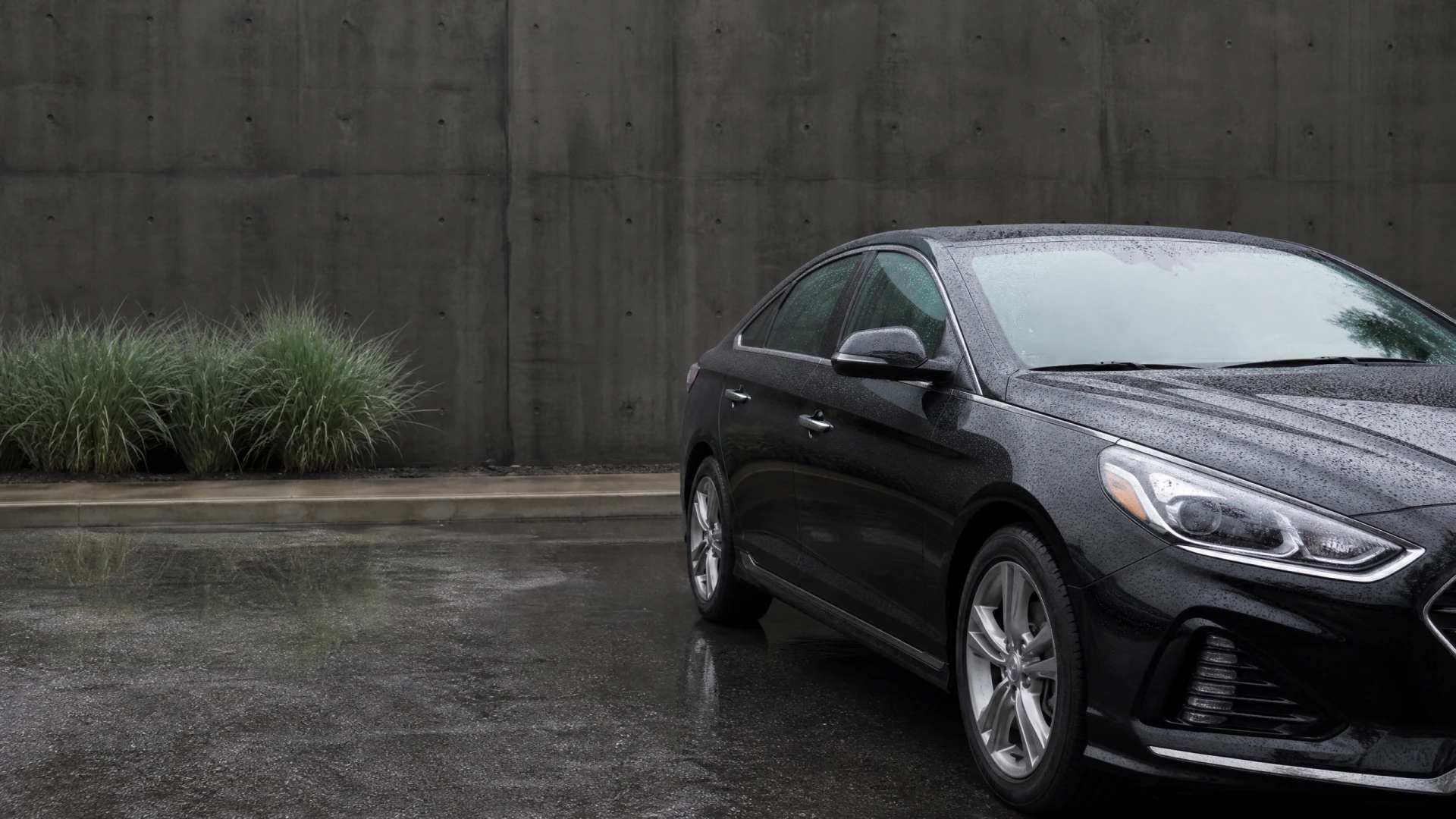 A black four-door sedan sits on rain-slicked pavement in front of a bare concrete wall, with ornamental grass in a raised planter nearby.