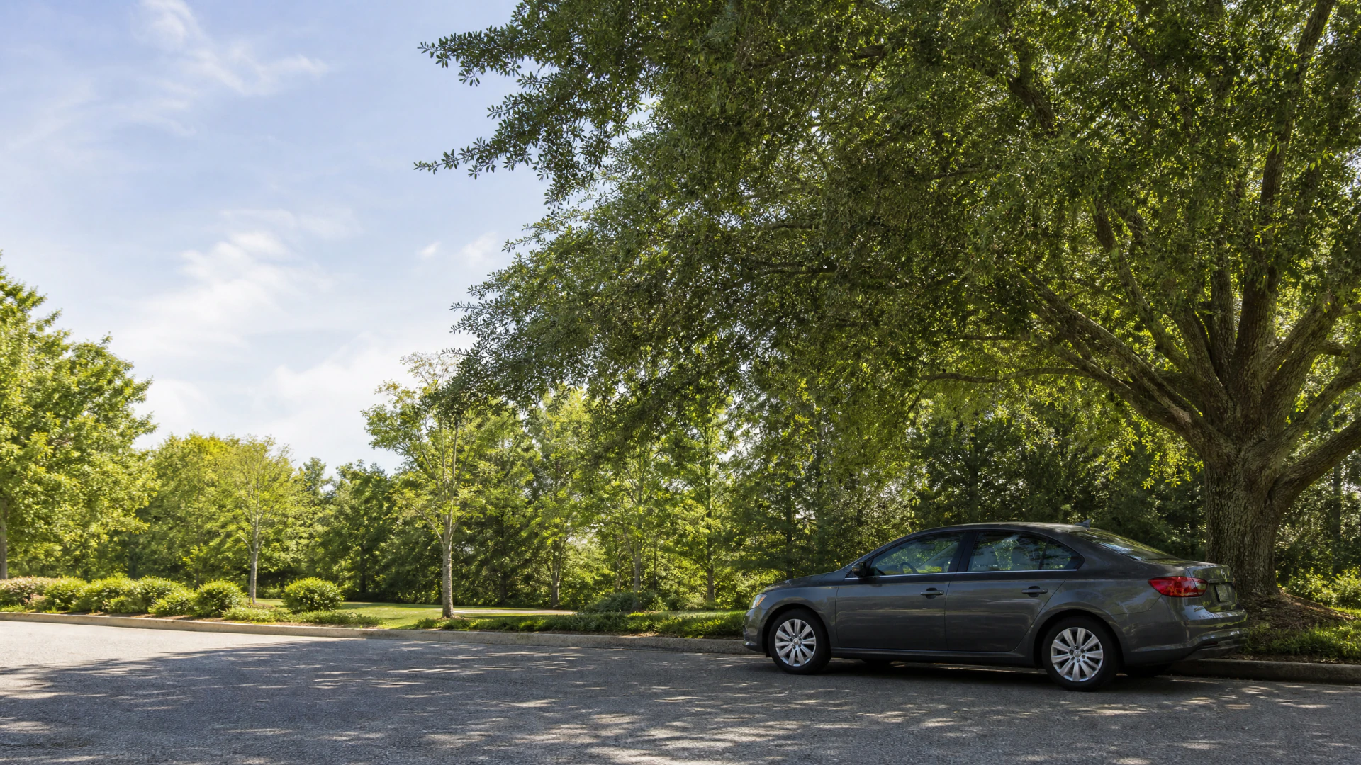 A gray sedan is parked in the shade of a large tree surrounded by green trees and shrubs.