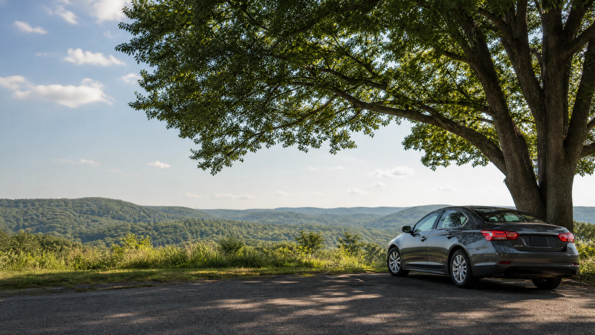 A dark gray sedan parked under a large tree at a scenic overlook with forested hills in the distance.