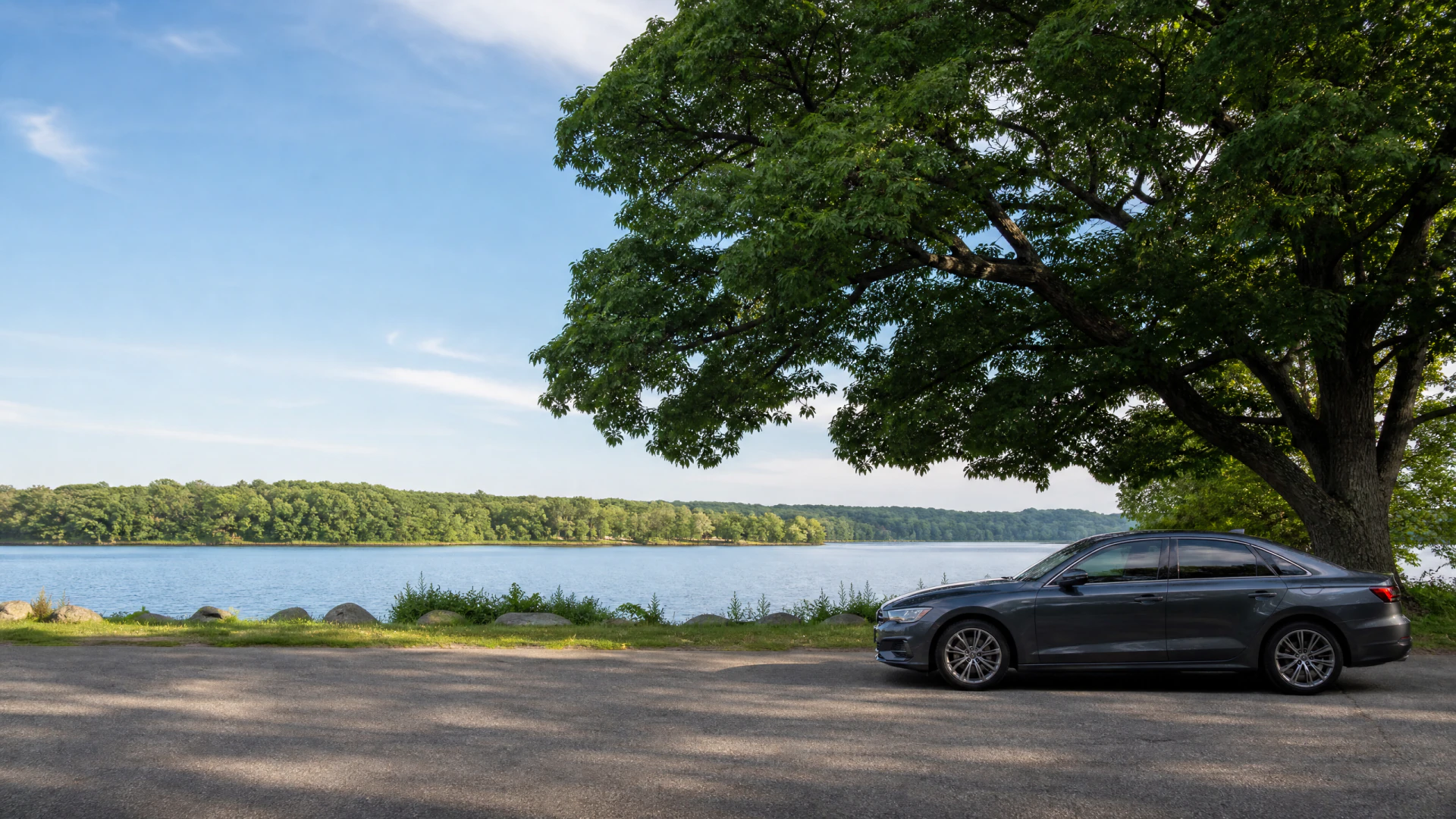 A gray sedan parked in the shade of a large tree beside a calm lake surrounded by green forest.