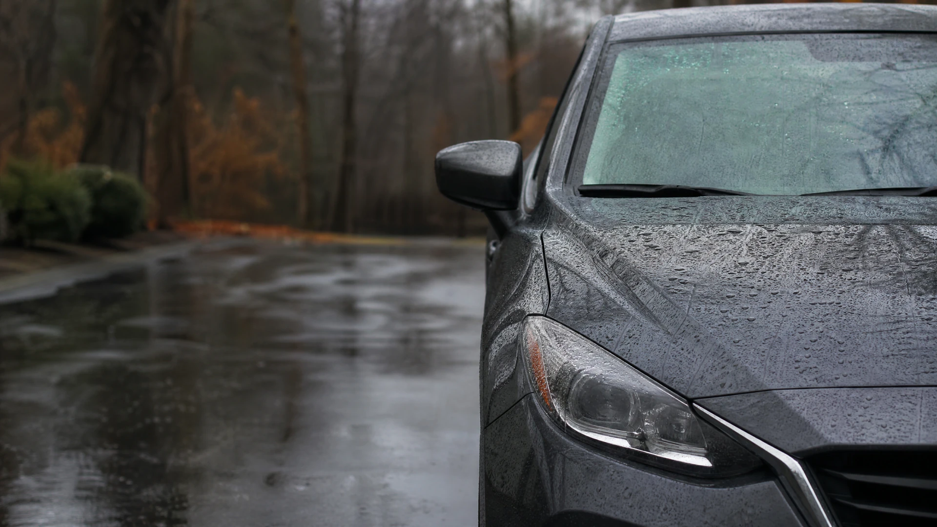 A rain-covered dark gray sedan sits parked on a wet asphalt lot surrounded by bare autumn trees.