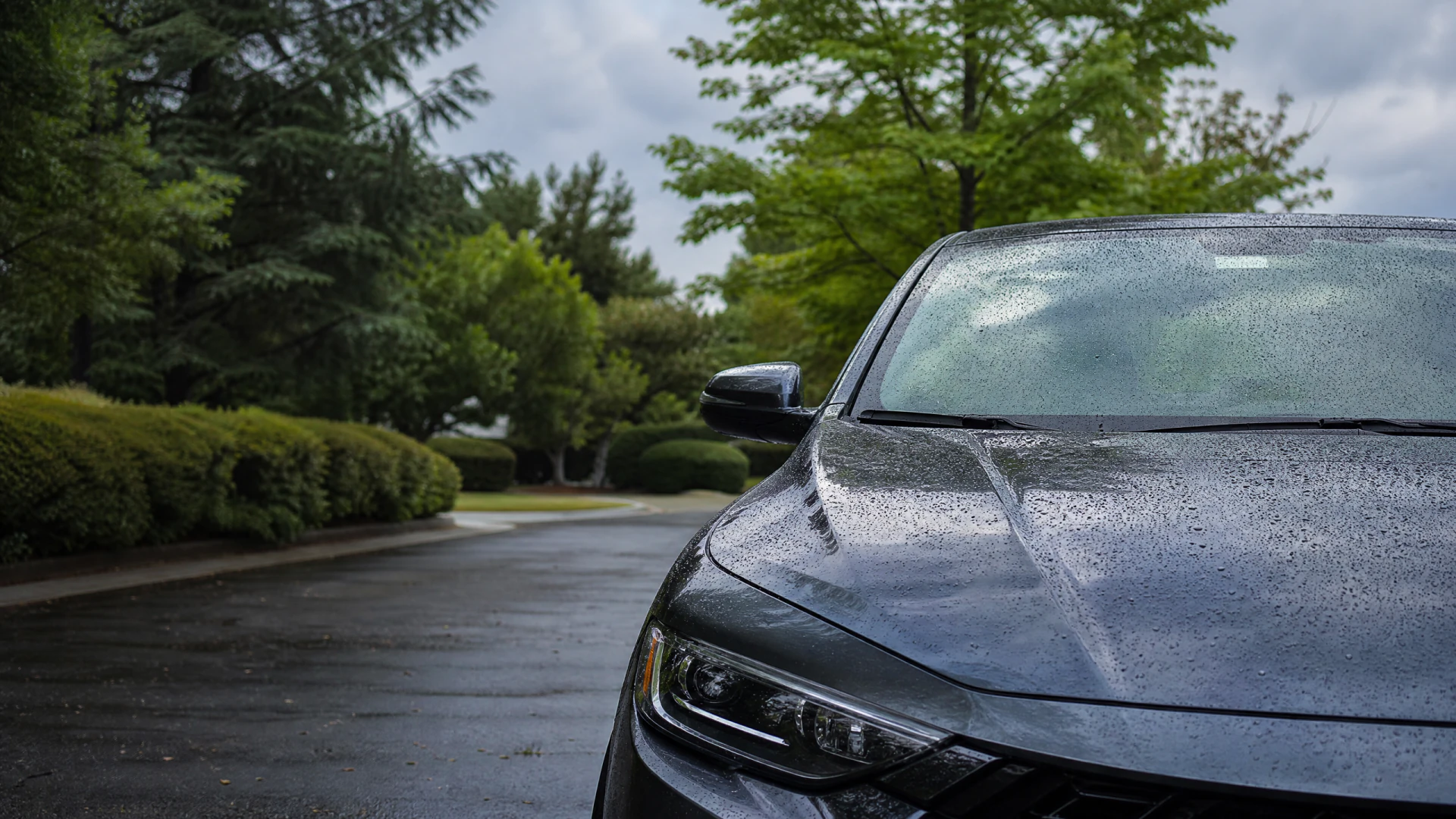 A rain-covered dark gray sedan parked in a wet lot surrounded by green trees and hedges.