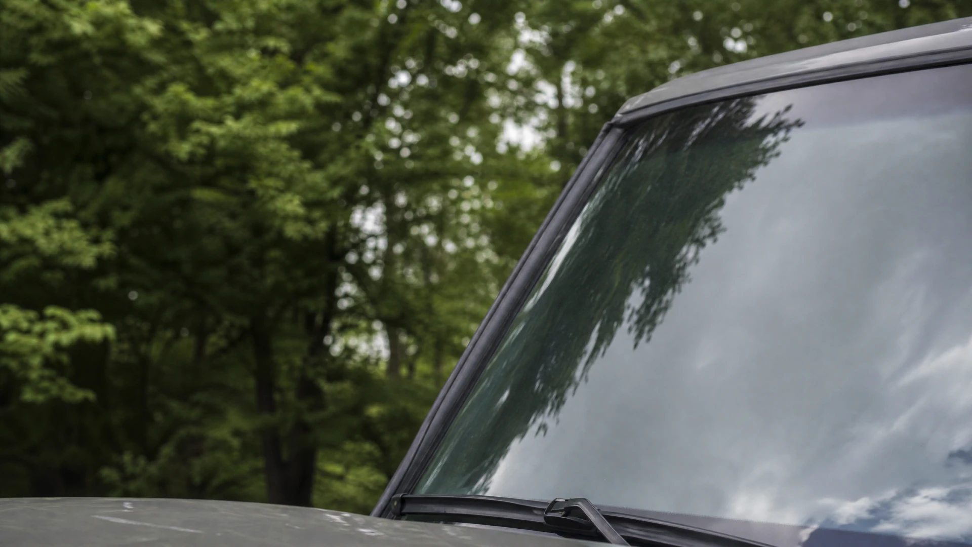 Close-up of a gray vehicle's windshield reflecting green trees, with a wiper blade visible at the lower edge.
