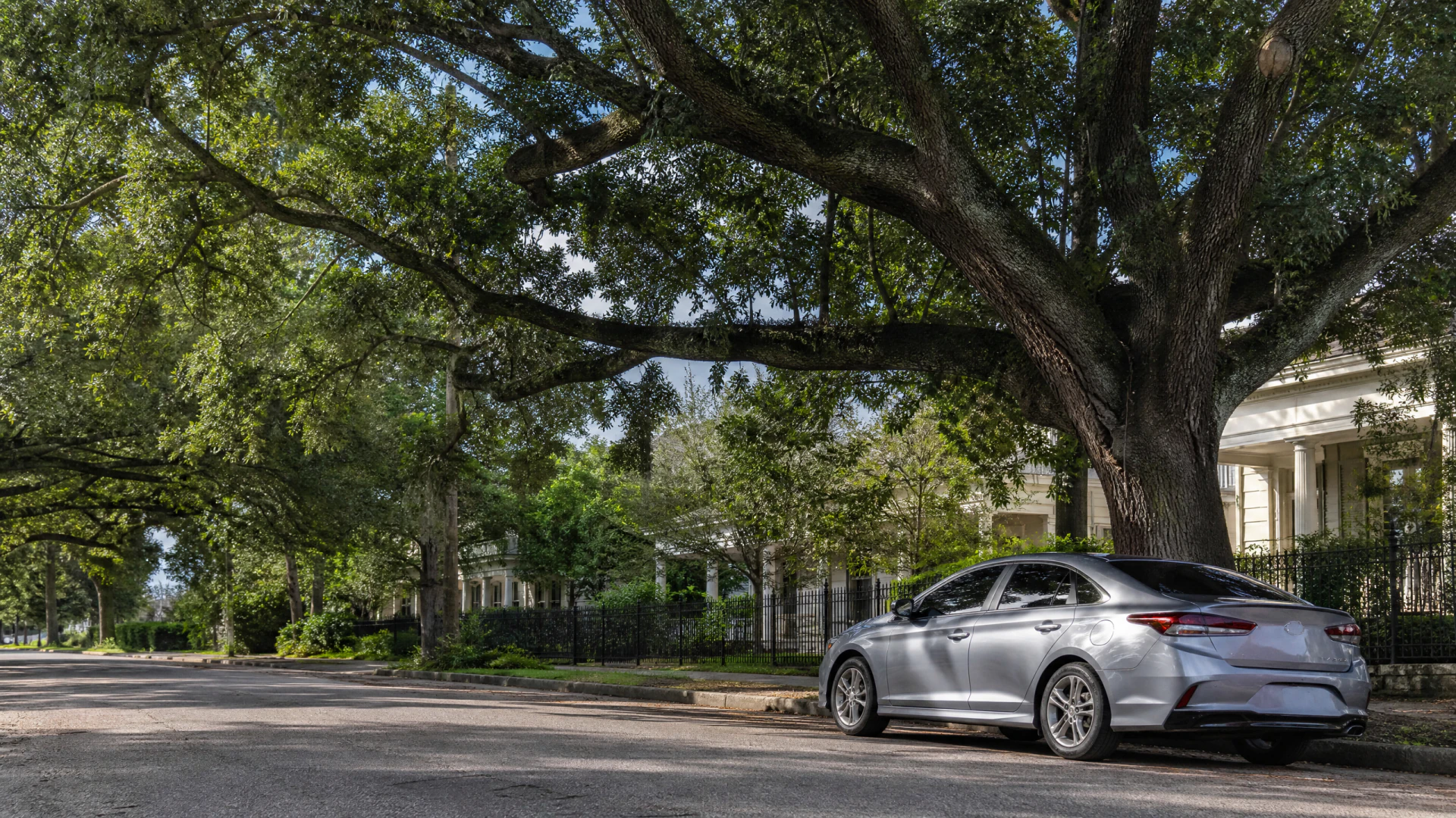 A silver sedan parked on a tree-lined residential street beneath the broad canopy of a large mature tree.