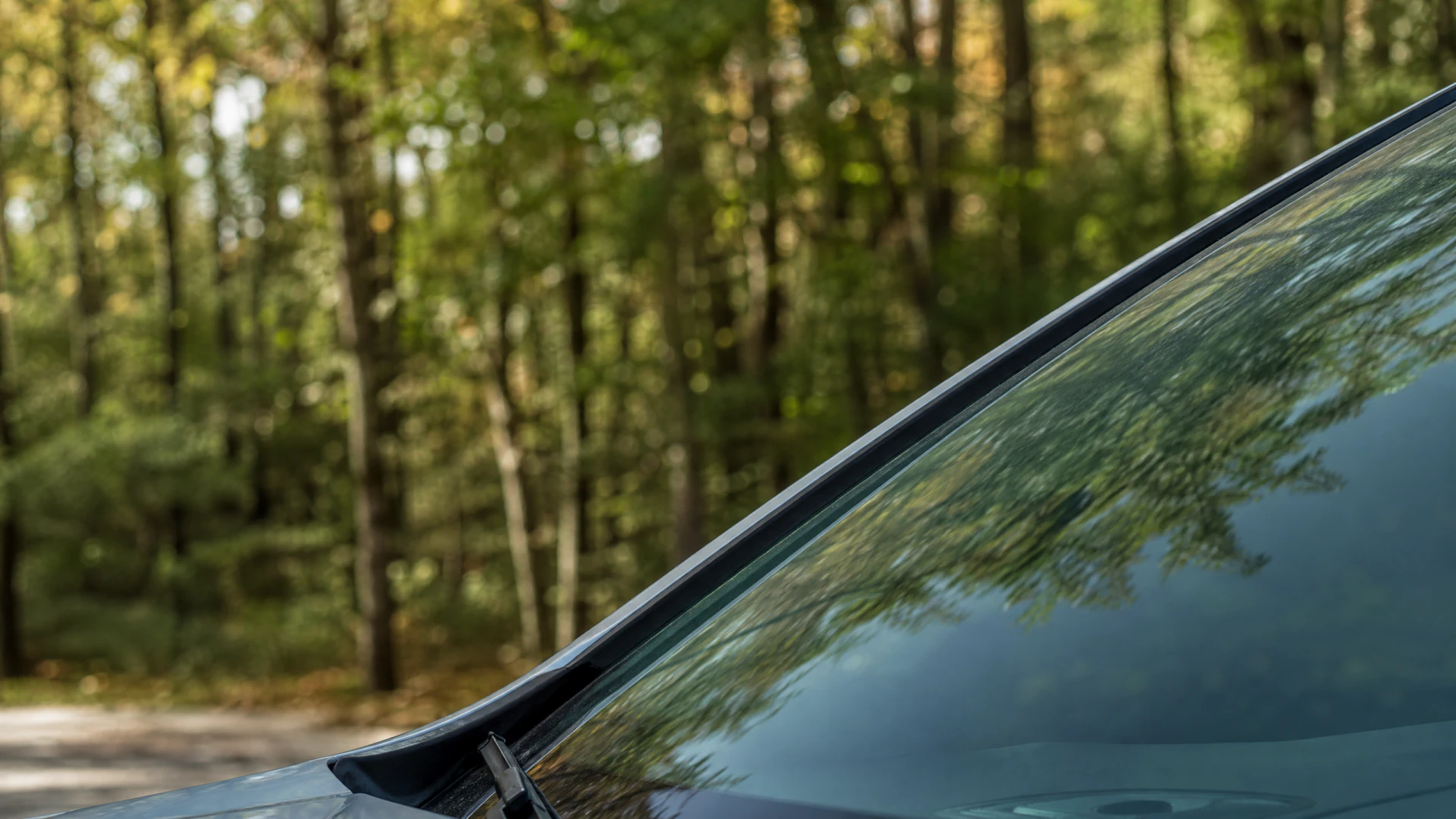 Close-up of a dark car windshield and roofline with a wiper blade, reflecting trees, parked near a forest.