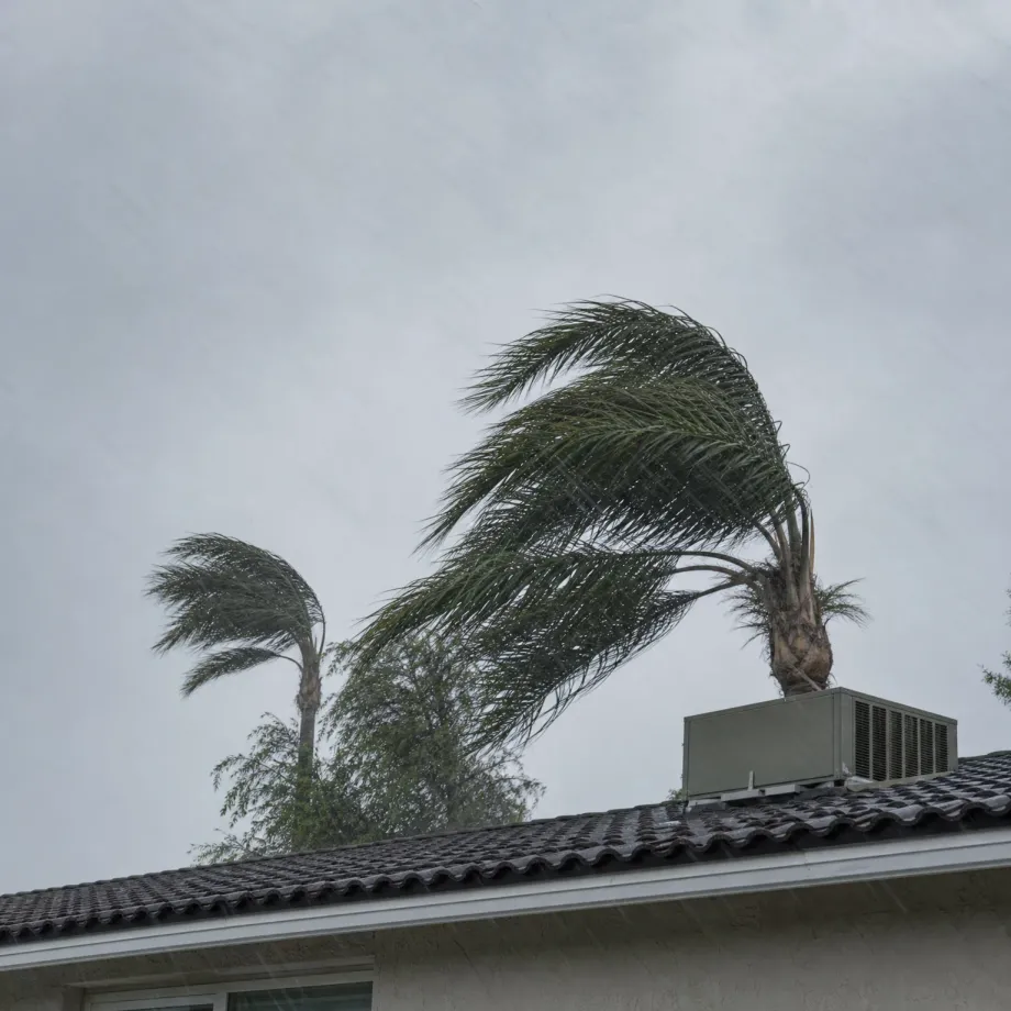 Palm trees bending in wind under an overcast, rainy sky above a tile-roofed house with a rooftop HVAC unit and stucco walls.