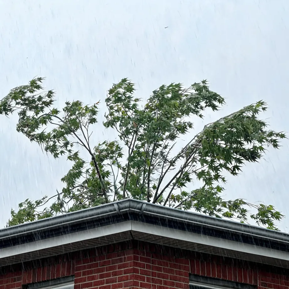 Corner of a red brick building with white trim and gutters during rainfall, with a green-leaved tree swaying behind it against a pale gray sky.