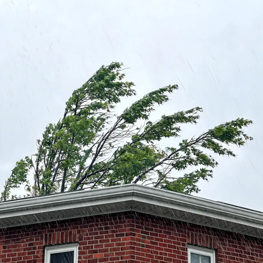 Corner of a red brick house with white gutters and window frames below a green deciduous tree bending in wind against an overcast sky with visible rain streaks.