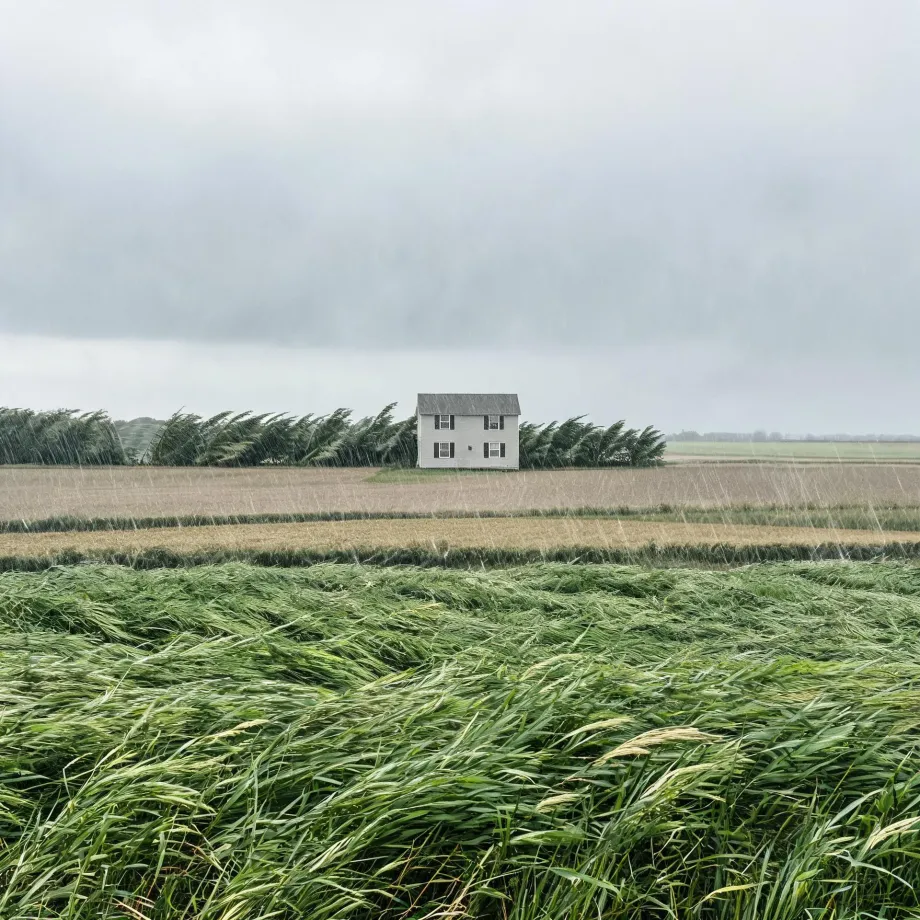 A white two-story house with a gray roof stands alone behind a windbreak of trees bending in the wind, with fields of green and tan grasses flattened in the foreground under a gray, rainy sky.