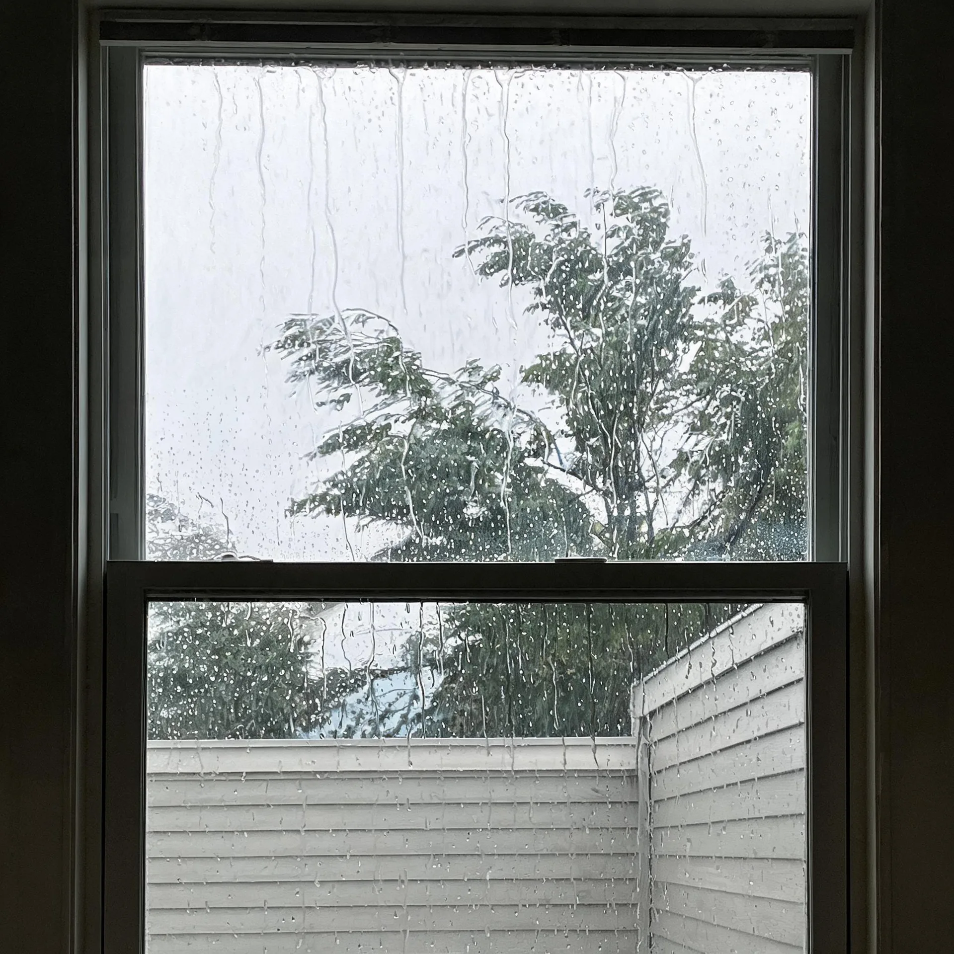 View through a rain-streaked double-hung window of a wind-blown leafy tree against a pale overcast sky, with white horizontal lap siding of a neighboring building below.