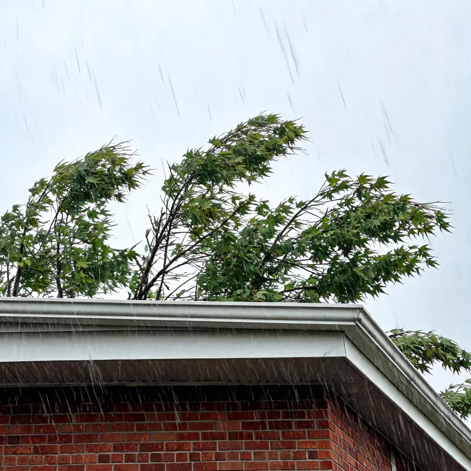 Heavy rain streaks fall past the corner of a red brick building with a white gutter and soffit, with wind-blown green maple branches above against an overcast sky.