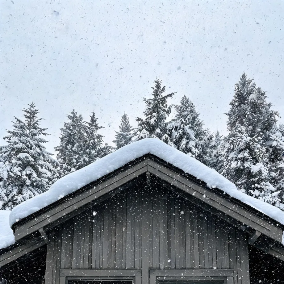 The gable end of a dark wood-clad building with a thick layer of snow on its roof, with snow-covered conifers and falling snowflakes behind it under a pale sky.