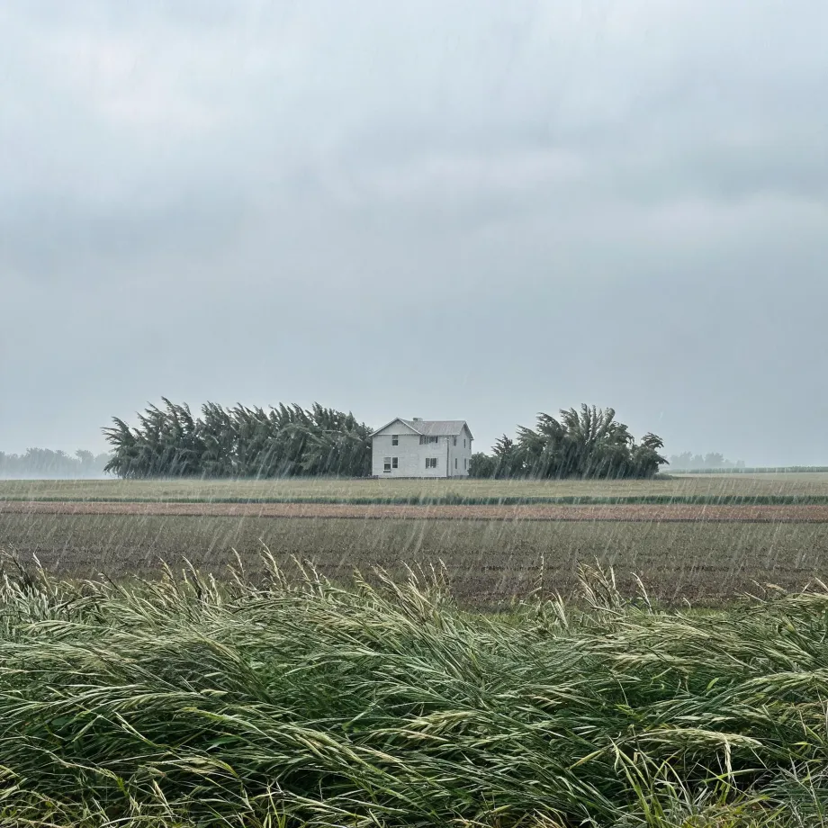 A white two-story farmhouse stands behind a windblown row of trees across flat farm fields, with rain streaking the frame and tall grass bent by wind in the foreground under an overcast sky.