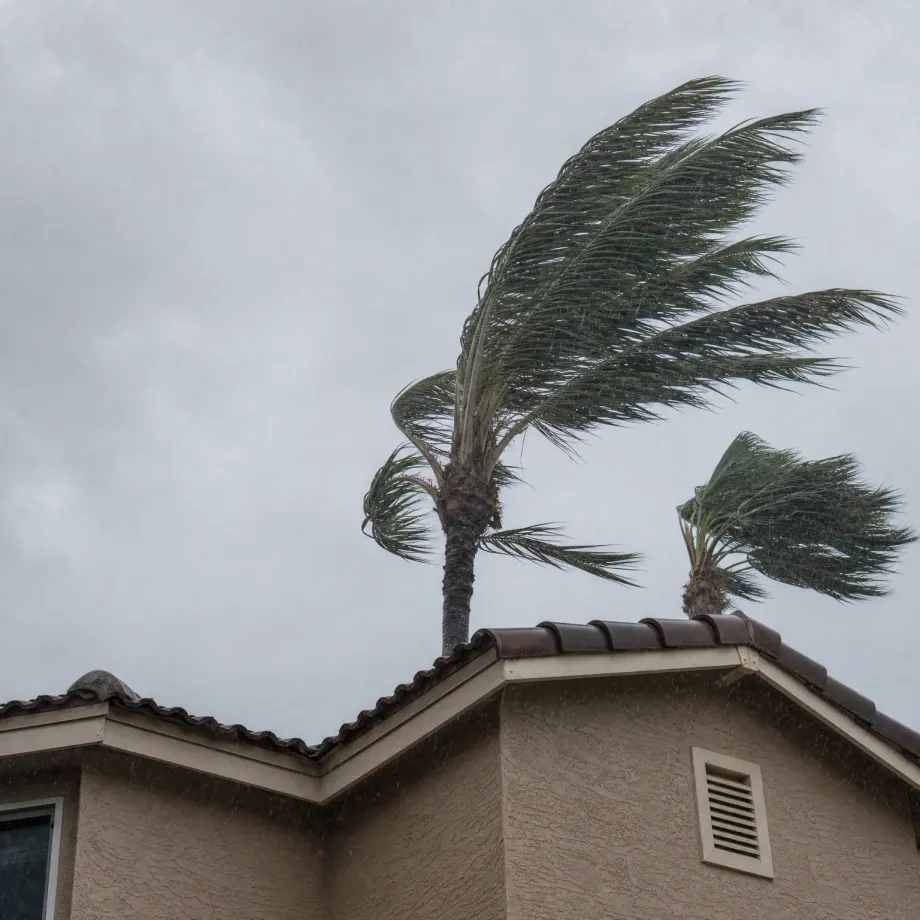 Upper corner of a stucco house with a tile roof and a gable vent, with two wind-blown palm trees behind it under an overcast gray sky.