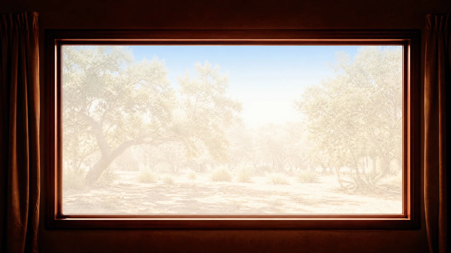 View from a dark interior through a large wood-framed window with curtains at both sides, looking onto a bright, washed-out landscape of spreading trees, low shrubs and pale sandy ground.