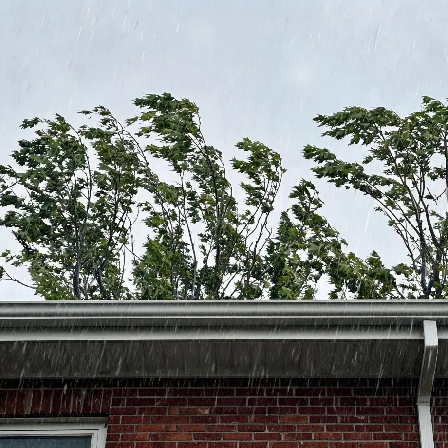 Heavy rain falls past the roofline and gutter of a red brick house, with wind-blown leafy trees against a pale grey sky behind it.
