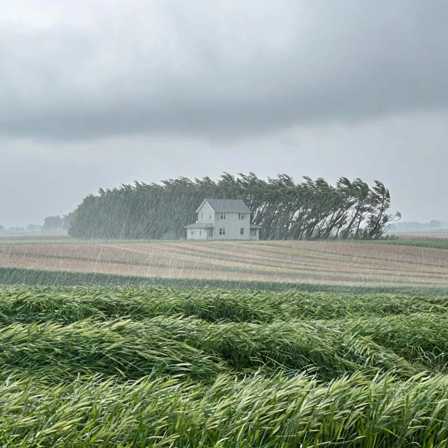 A two-story white farmhouse stands in front of a windswept treeline under heavy gray storm clouds, with rain streaking over flattened green crop rows and striped fields in the foreground.