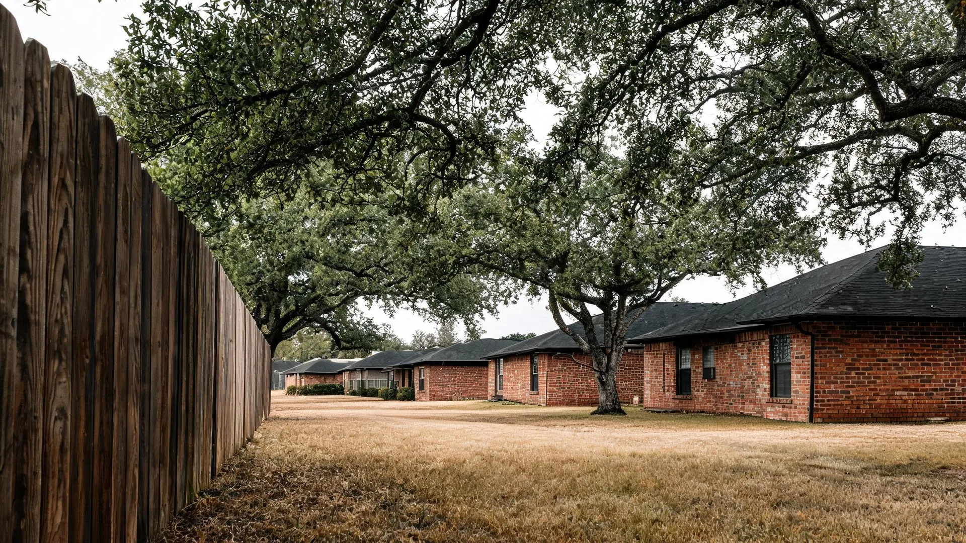 A weathered wooden privacy fence runs along the left side of a dry grass lawn, with a large spreading oak tree and a row of single-story brick houses with dark shingle roofs under an overcast sky.