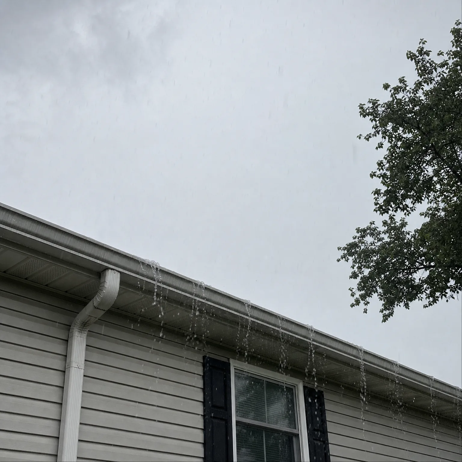 Water overflows from a gutter along the roof edge of a house with light vinyl siding, a downspout and a shuttered window, under an overcast sky with a leafy tree at right.