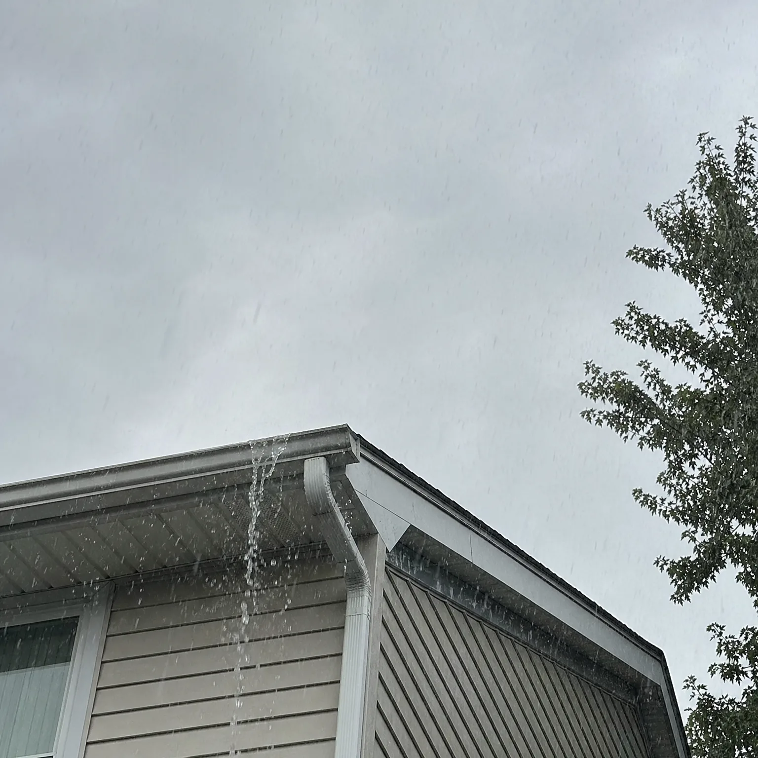 Low-angle view of the corner of a house with vinyl siding and a gutter overflowing water during rain, under an overcast gray sky with a leafy tree at right.