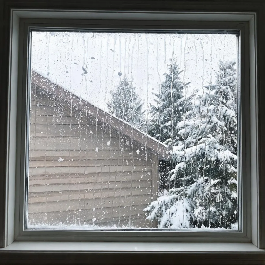 View through a wet, condensation-streaked square window of a snow-covered sloped roof and horizontal wood siding on an adjacent building, with snow-laden evergreen trees and overcast sky beyond.