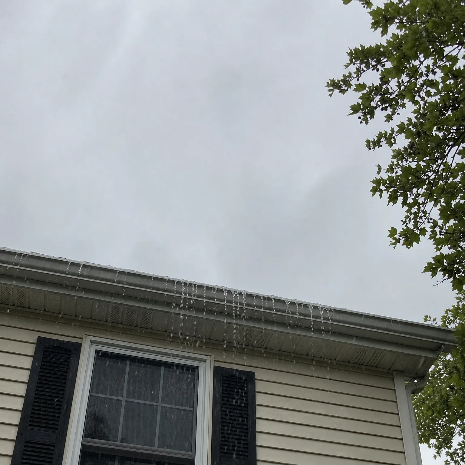 Upward view of a house's roofline with water overflowing from the gutter in streams, beige vinyl siding, a window with dark shutters below, overcast sky and green tree branches at upper right.