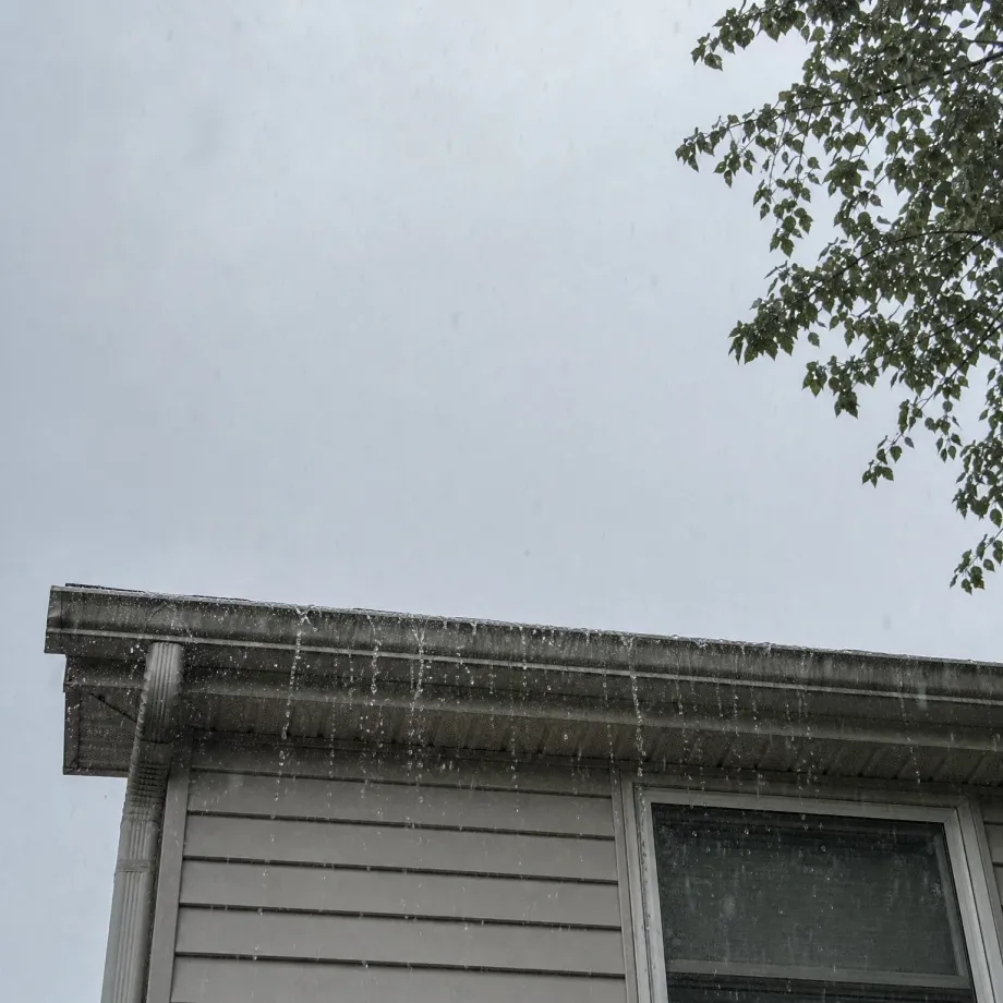 Upward view of the roof edge and gutter of a house with light horizontal siding, water dripping from the gutter against an overcast grey sky, with a leafy tree branch in the upper right corner.