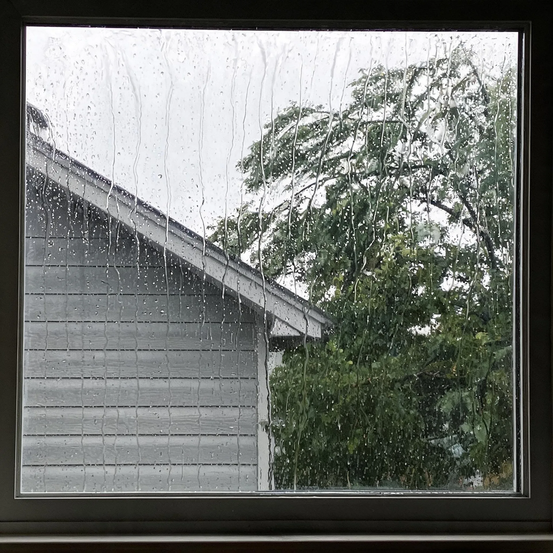 View through a rain-streaked window pane of a gray horizontal-sided building with a sloped roof on the left and a leafy green tree under an overcast sky on the right.
