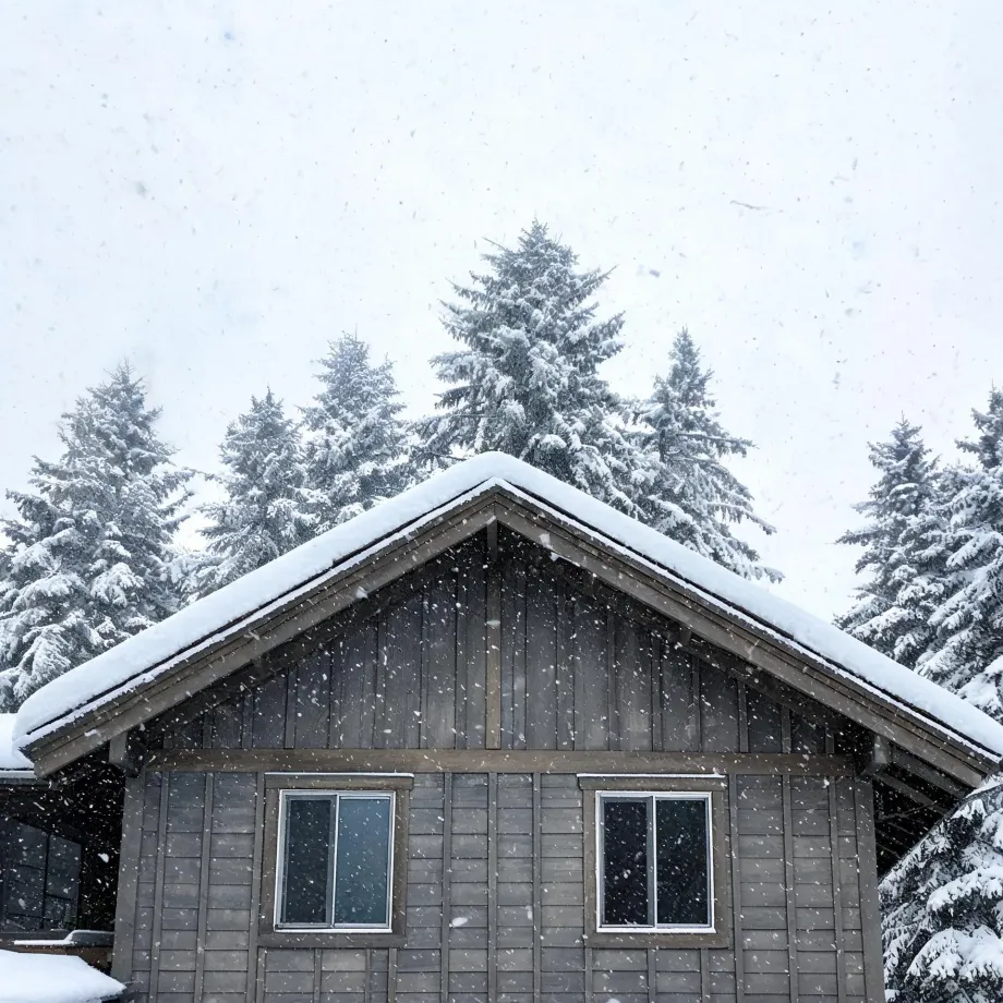 The gable end of a gray wood-clad house with two windows, its roof covered in snow, with snow-laden conifers behind it and snow falling.