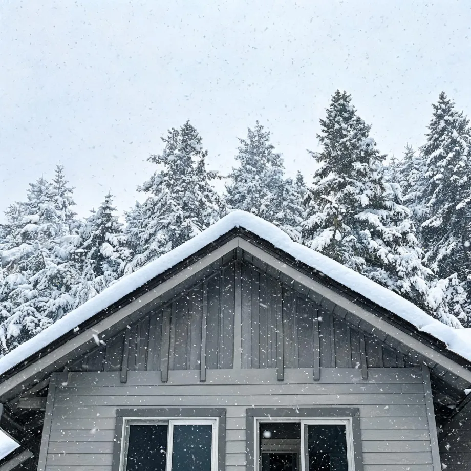 Snow-covered gable roof and gray board-and-batten upper facade of a house with two windows, backed by snow-laden conifer trees during falling snow.