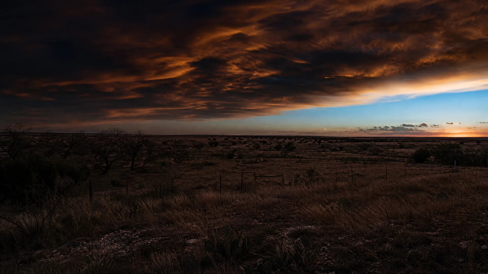 A flat grassland plain with scattered low trees, prickly pear cactus and a wire fence under a sunset sky of dark orange-lit clouds, with a bright strip of sky near the horizon.