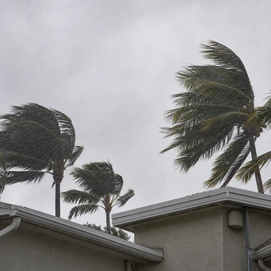 Palm trees bending in strong wind under an overcast, rain-streaked sky above the rooflines and gutters of two light stucco buildings.
