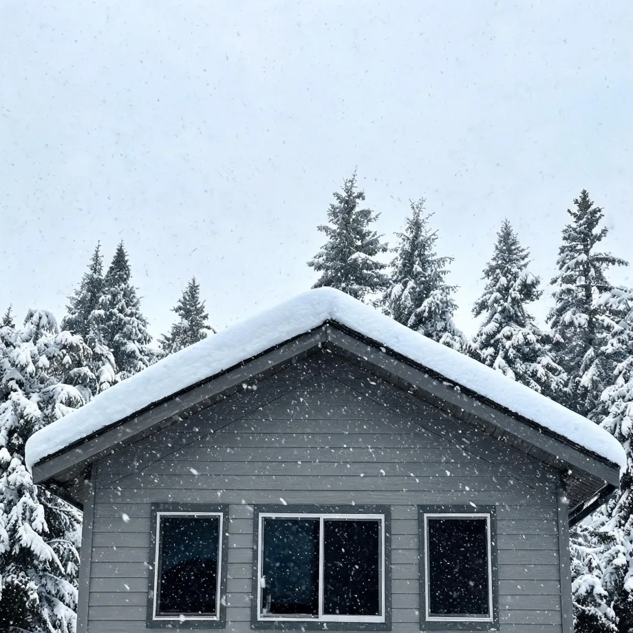 Gable end of a gray horizontal-siding house with three dark windows, its roof covered in thick snow, surrounded by snow-laden conifers under a pale sky with falling snowflakes.