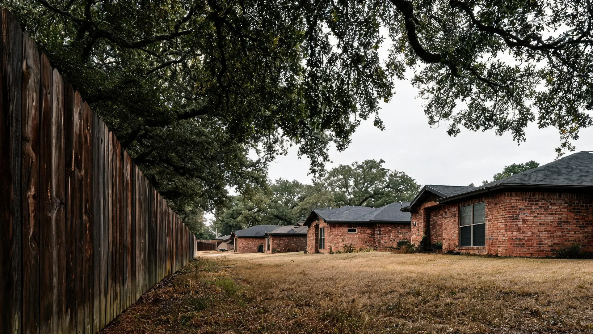 A weathered wooden privacy fence runs along the left side of a dry grass yard beside single-story brick houses with dark shingled roofs, under overhanging oak branches and an overcast sky.