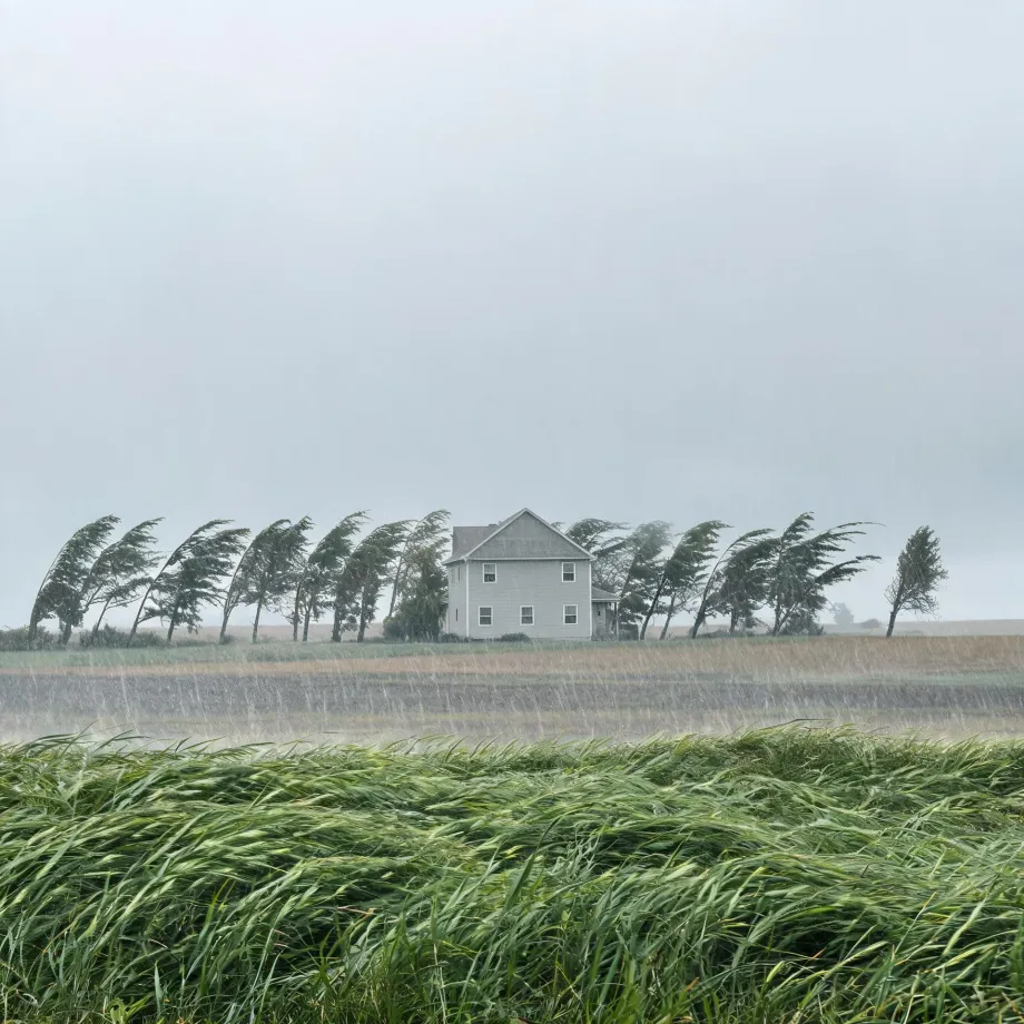 A white two-story house behind a row of wind-bent trees on a flat horizon, with driving rain over open fields and tall grass blown sideways in the foreground under a pale gray sky.