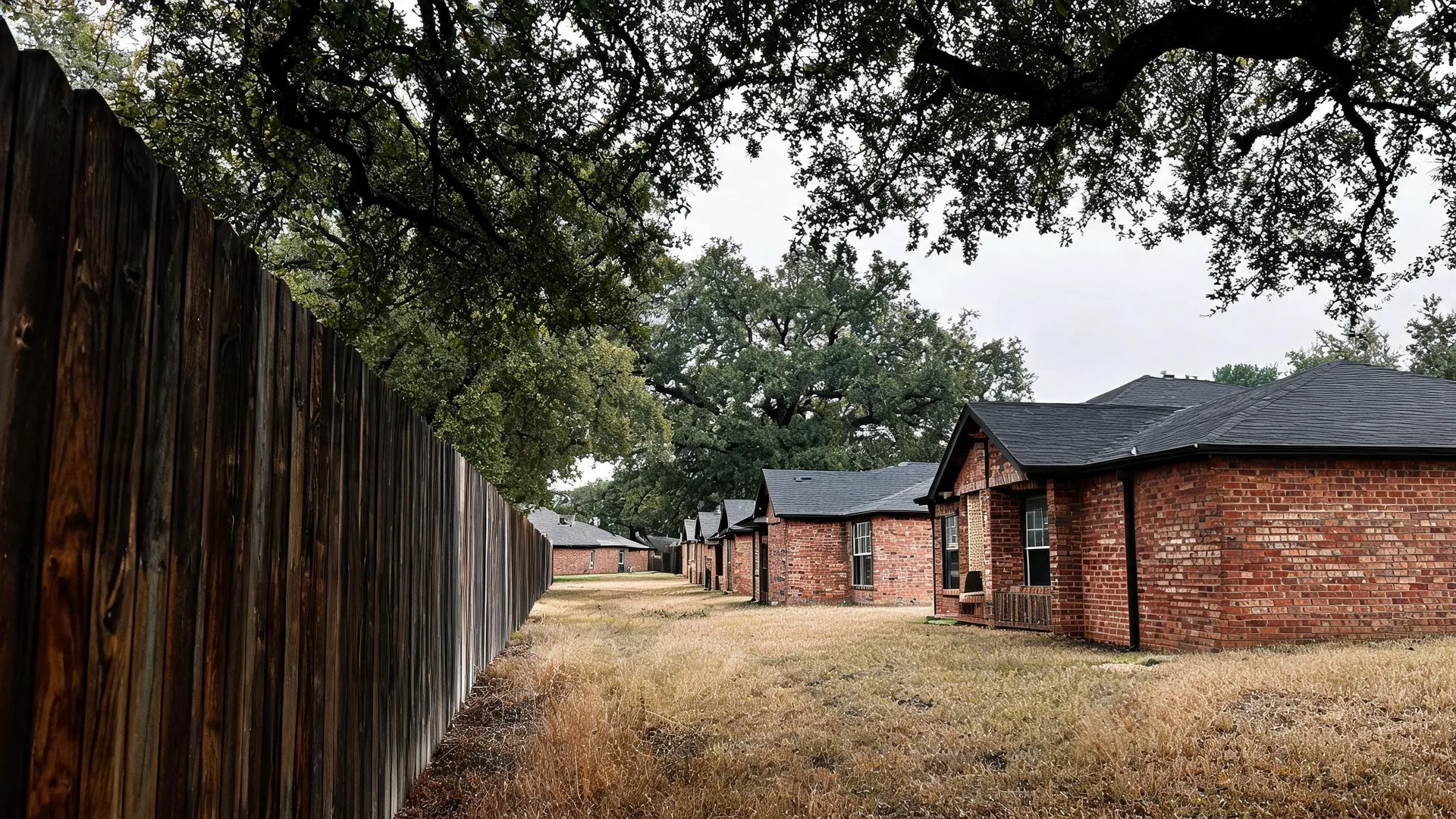 A row of single-story brick houses with dark shingled roofs stands along a dry grass strip beside a tall weathered wooden fence, under large overhanging oak branches and an overcast sky.