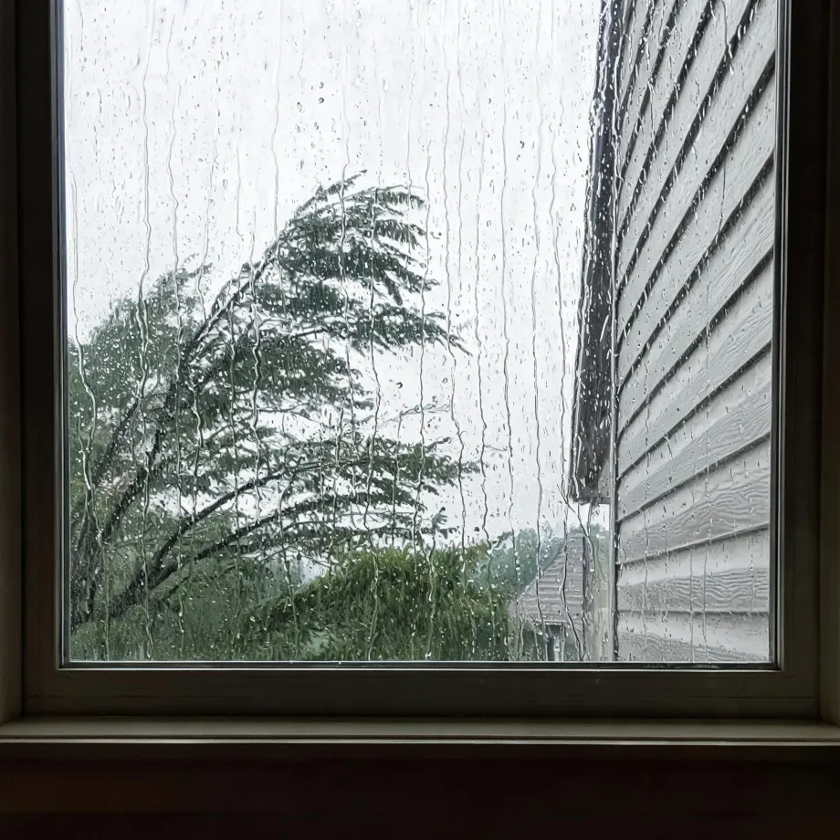View through a rain-streaked window pane of a wind-blown evergreen tree, hedges, and the horizontal siding of an adjacent building under a pale grey sky.