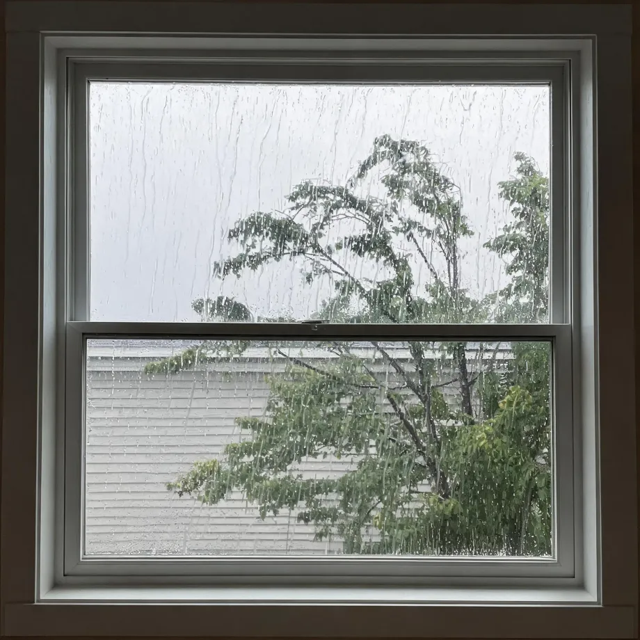 View through a rain-streaked double-hung window with white trim onto a green leafy tree and a neighboring building with horizontal siding under a pale overcast sky.
