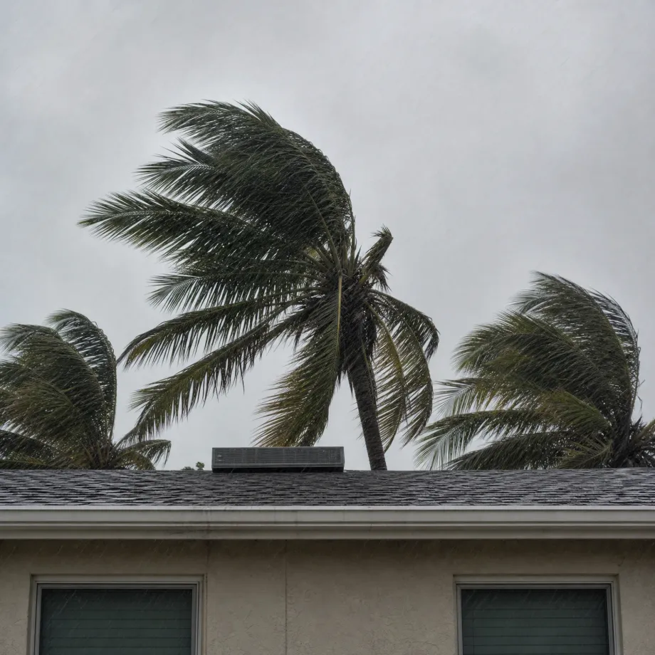 Palm fronds bending in wind and rain above the shingled roof and stucco upper wall of a single-story house with two windows, under an overcast gray sky.