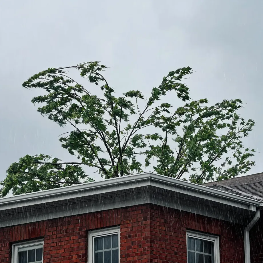 Corner of a red brick building with white-framed windows and a gutter, seen during rainfall, with a green leafy tree bending in wind against an overcast gray sky.