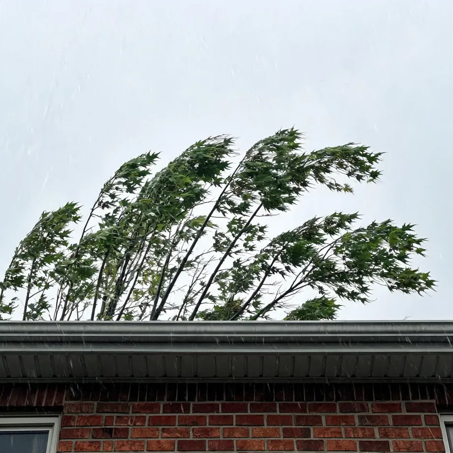 Upward view of a brick house's roofline and gutter with rain streaks, as green maple branches bend sideways in strong wind against a pale grey sky.