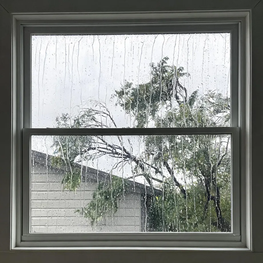 View through a rain-streaked double-hung window of a neighboring single-story house with a gray sloped roof and light siding, surrounded by green trees under an overcast white sky.