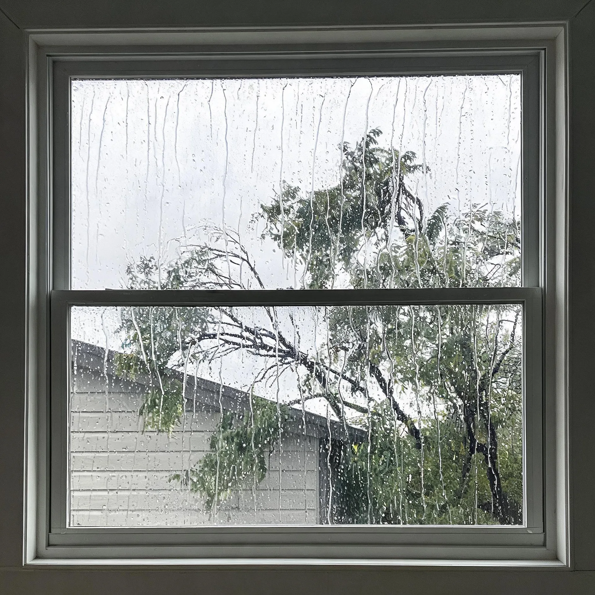 View through a rain-streaked double-hung window of a neighboring single-story house with a gray sloped roof and light siding, surrounded by green trees under an overcast white sky.