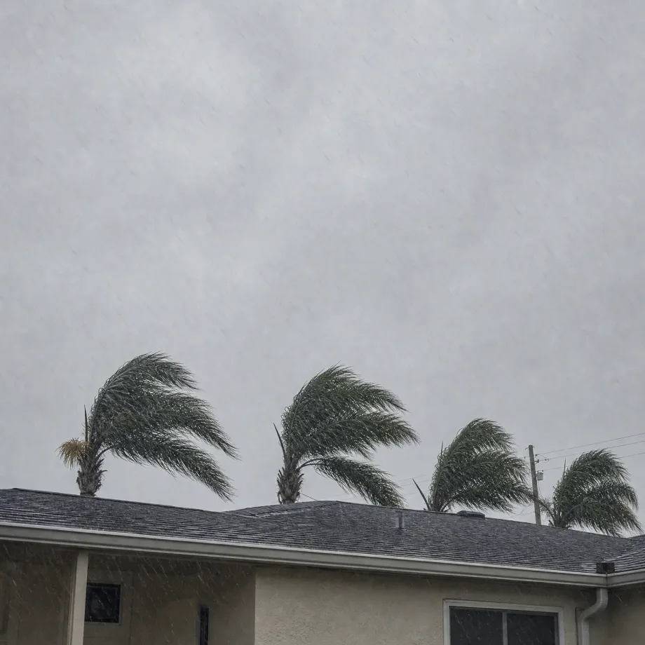 A single-story stucco house with a shingled roof under a grey sky, with palm trees behind it bending in wind and streaks of rain across the frame.